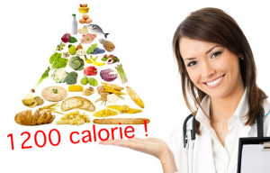 1200 calorie